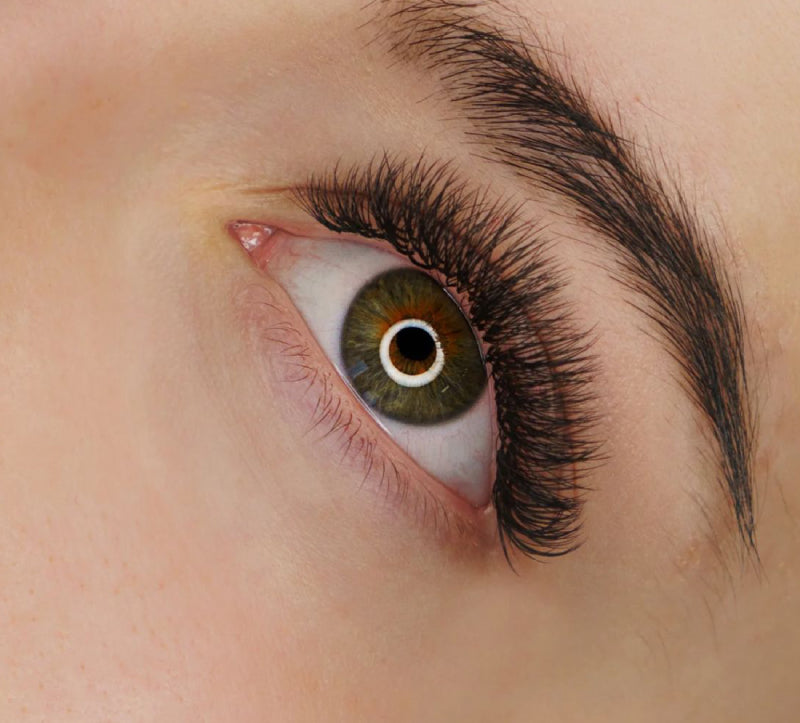 Lash Extensions