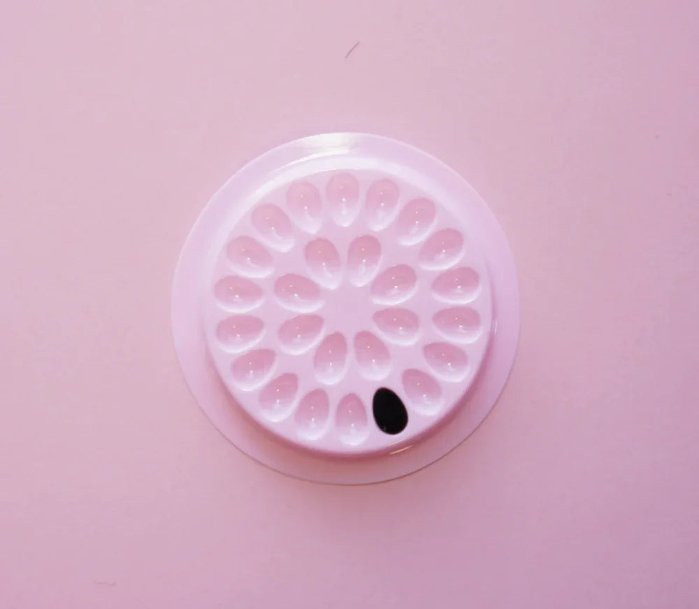 Lash Glue Tray & Organizer for Extensions