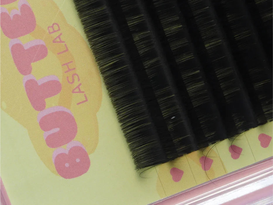 Black Lash Extensions | Soft Premium Lashes | D & C Curls